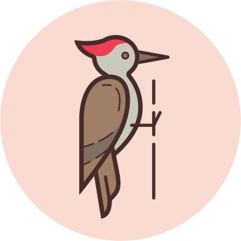 BirdyWood Logo